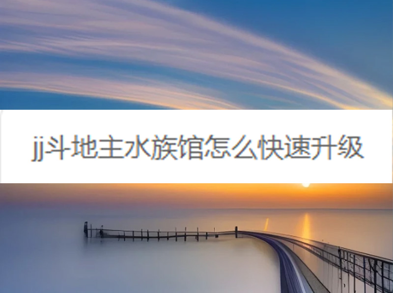  JJ斗地主水族馆快速升级全指南：掌握诀窍轻松晋级